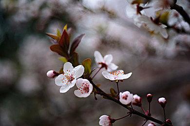 离谱？索尼《Concord》竟然花了8年时间开发